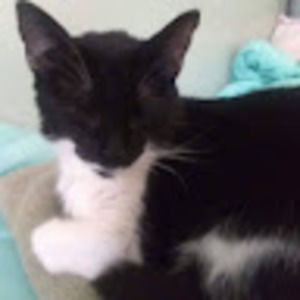 Meet your Posher, Carrie